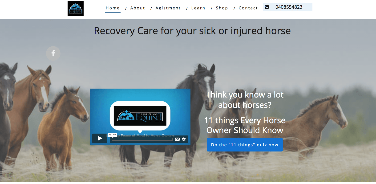 Equine Care clinic